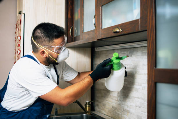 Reliable King Of Prussia, PA Pest Control Solutions