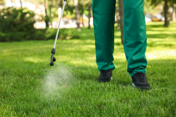 Flea Control Services in King Of Prussia, PA