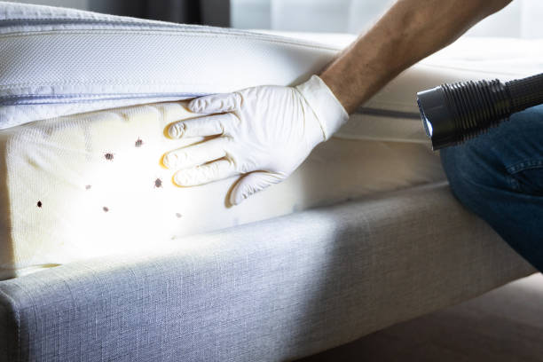 Best Residential Pest Control  in King Of Prussia, PA