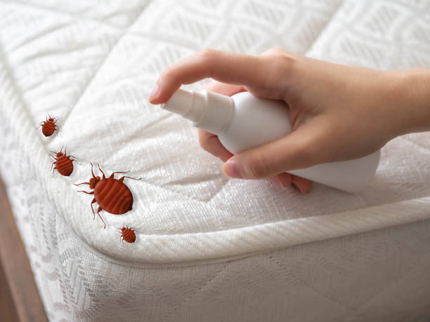 Best Bed Bug Extermination  in King Of Prussia, PA