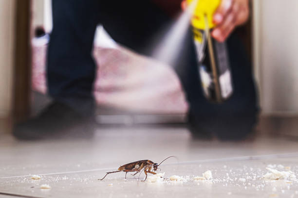 Best Local Pest Control Services  in King Of Prussia, PA