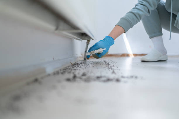 Bird Control in King Of Prussia, PA